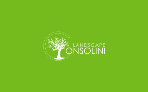 Consolini Landscape