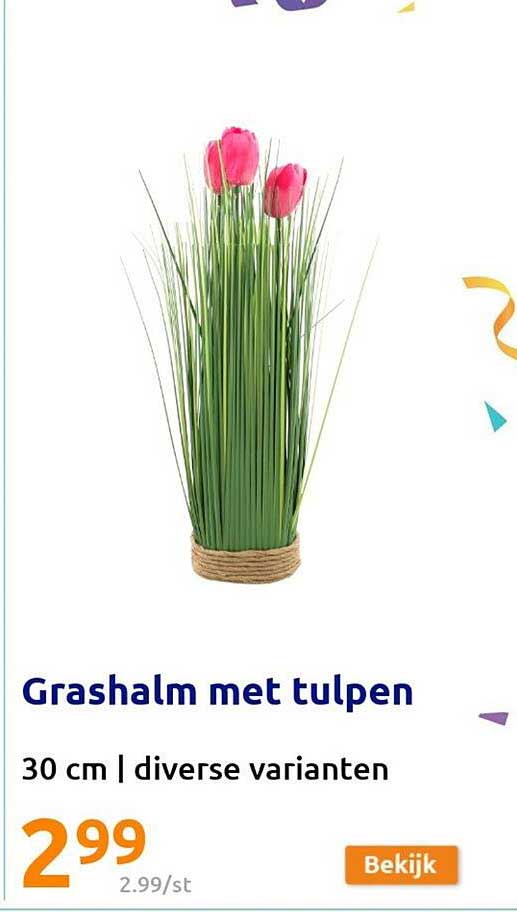 Action Grashalm Met Tulpen
