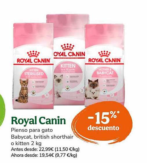 Tiendanimal Royal Canin Pienso Para Gato