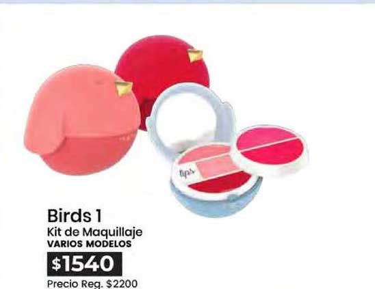 Oferta Birds 1 Kit De Maquillaje Varios Modelos en Pigmento