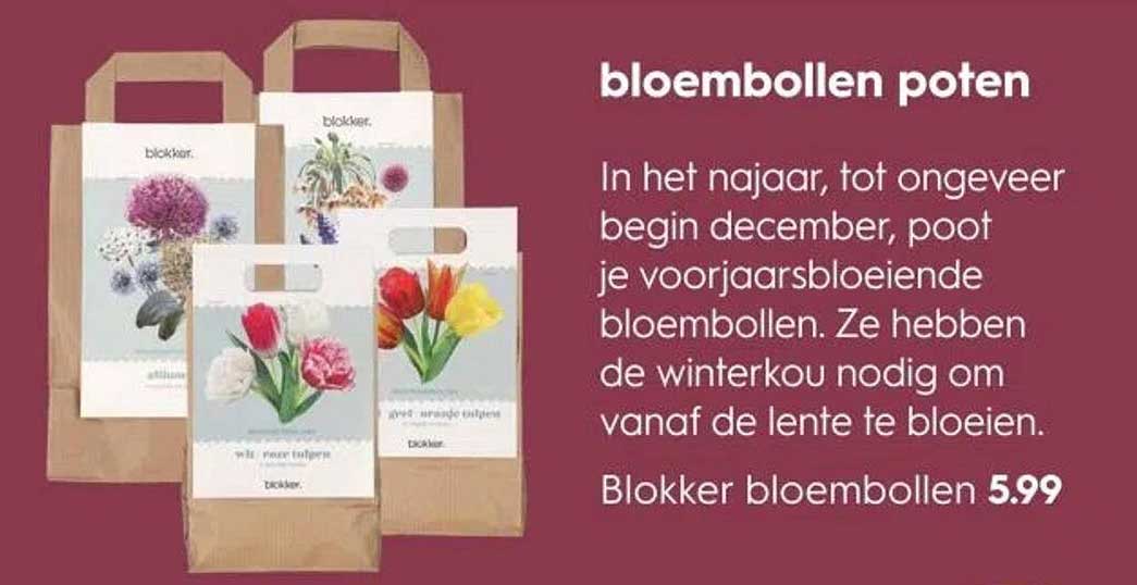 bloembollen poten