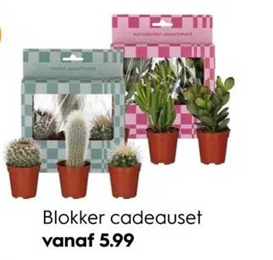 Blokker cadeauset