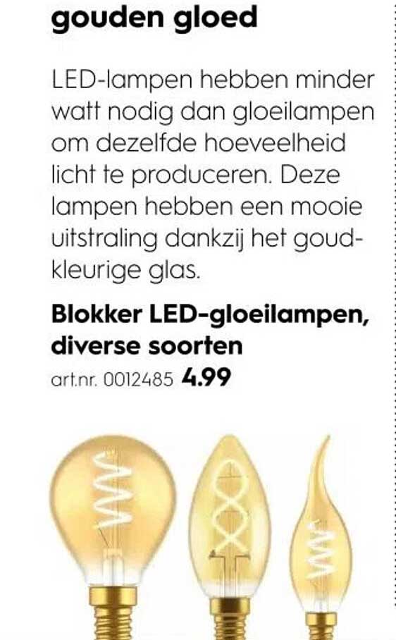 Blokker LED-gloeilampen, diverse soorten