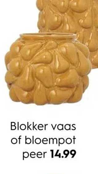 Blokker vaas of bloempot peer