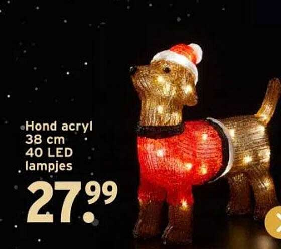 Hond acryl 38 cm 40 LED lampjes