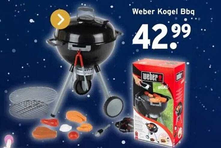 Weber Kogel Bbq