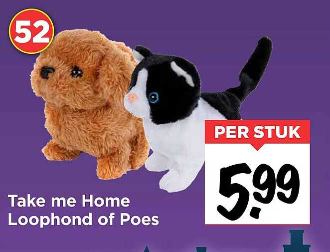 Take me Home Loophond of Poes