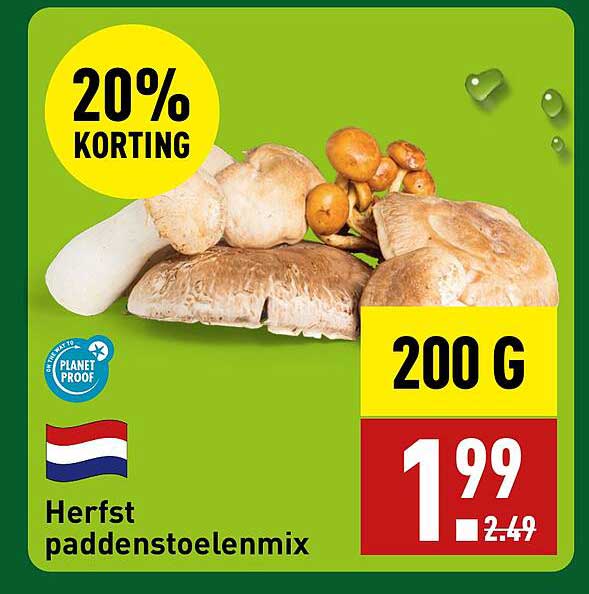 Herfst paddenstoelenmix