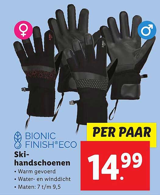 Ski-handschoenen