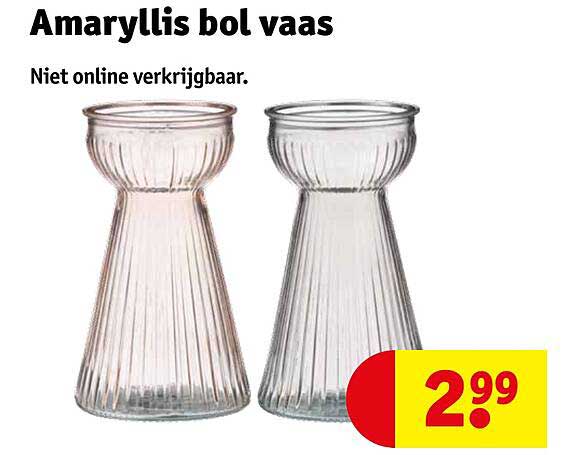 Amaryllis bol vaas