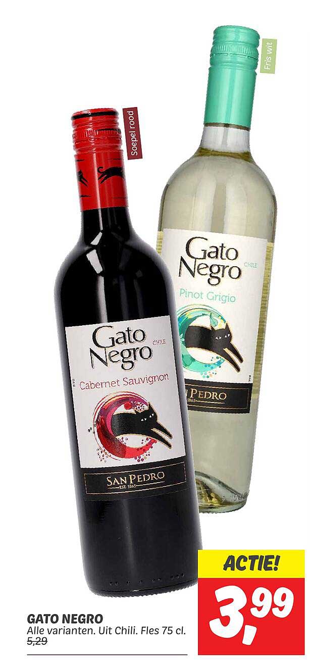 Gato Negro