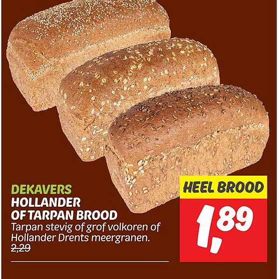 HOLLANDER OF TARPAN BROOD