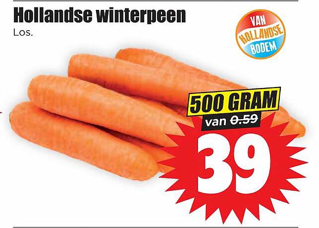 Hollandse winterpeen