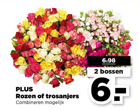 PLUS Rozen of trosanjers