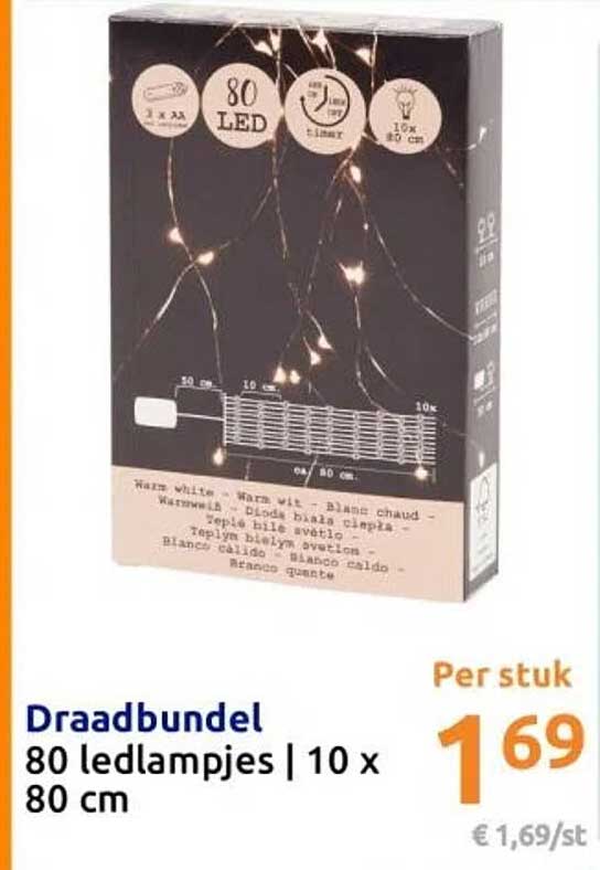 Draadbundel 80 ledlampjes | 10 x 80 cm