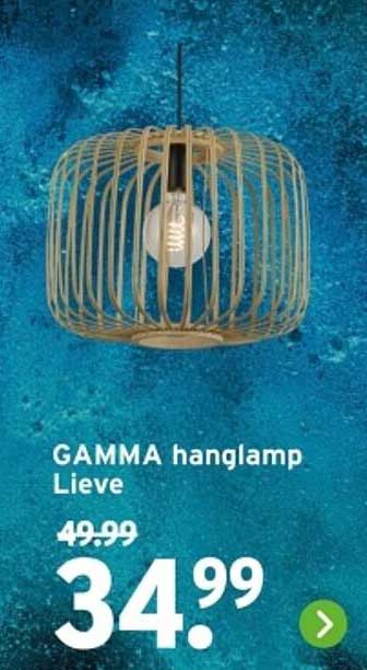 GAMMA hanglamp Lieve