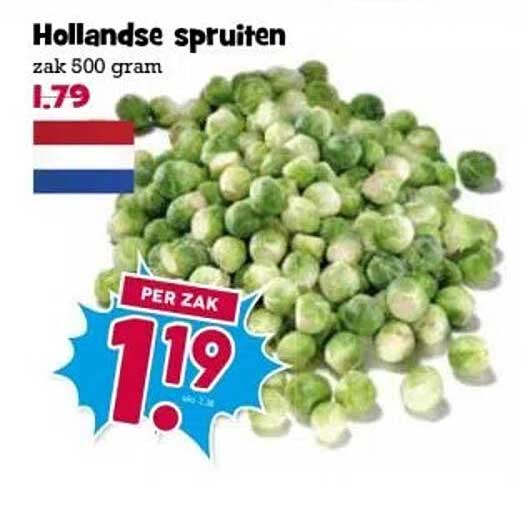 Hollandse spruiten