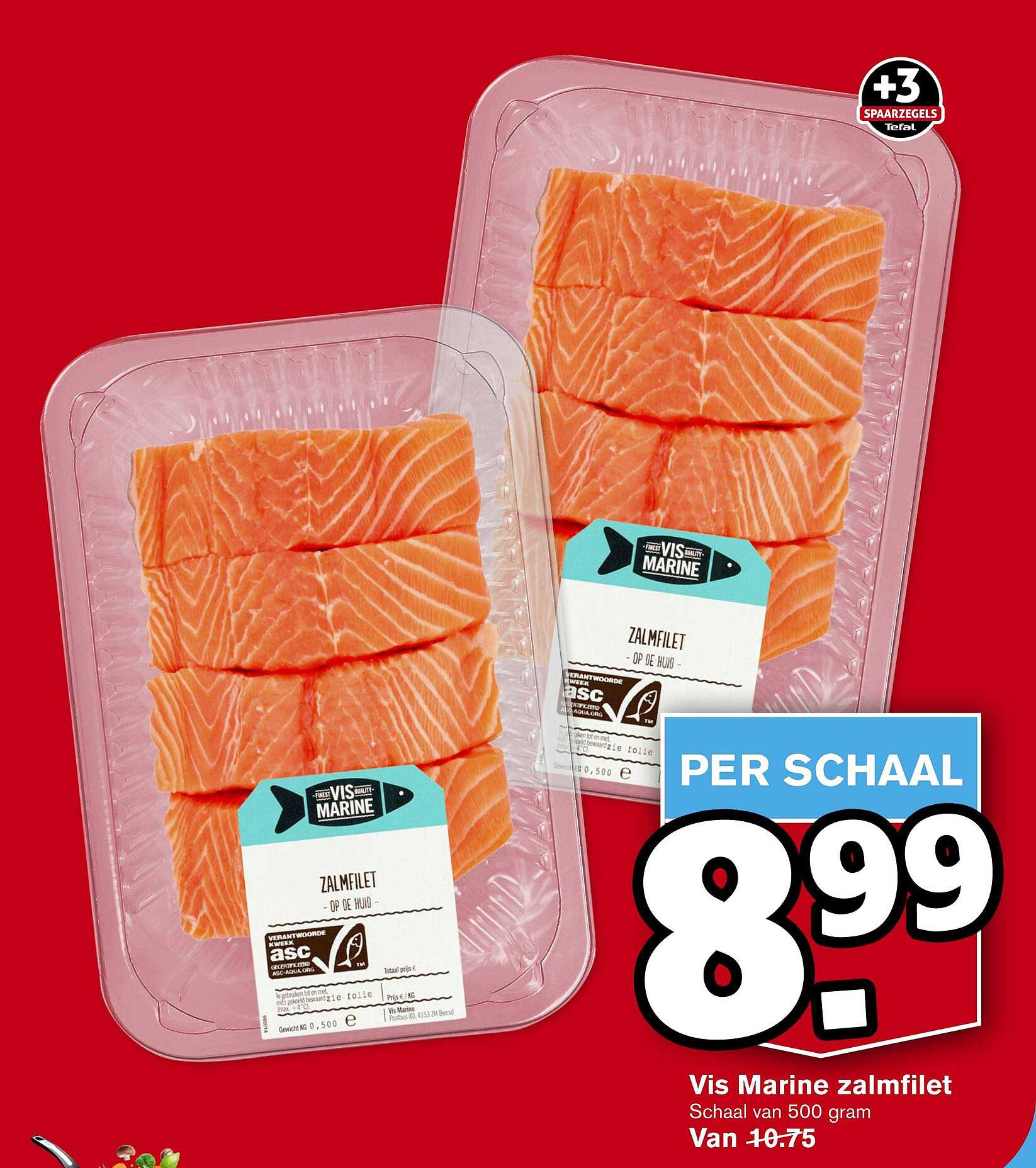 Vis Marine zalmfilet