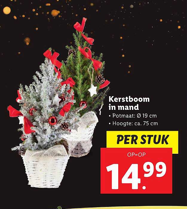 Kerstboom in mand