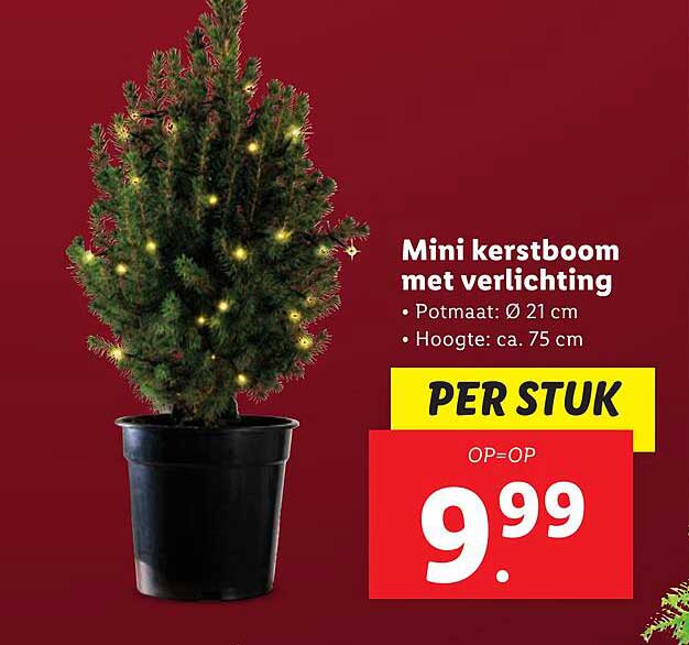 Mini kerstboom met verlichting