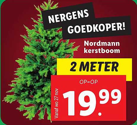 Nordmann kerstboom