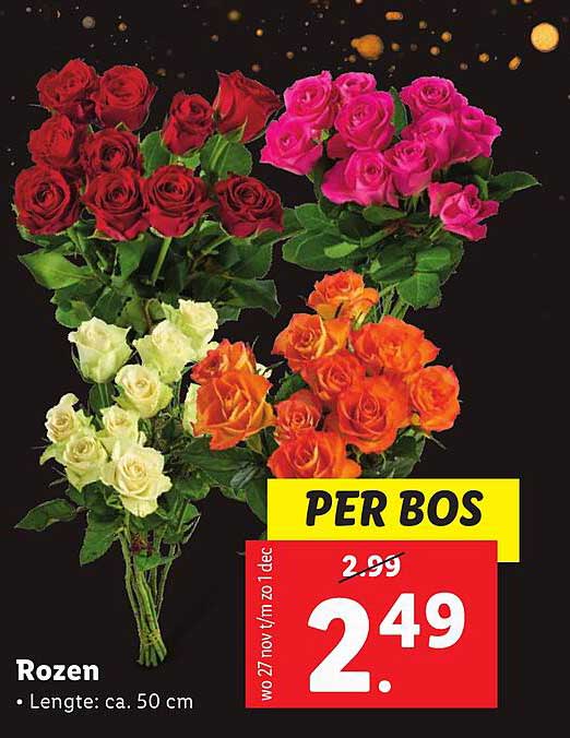 Rozen PER BOS