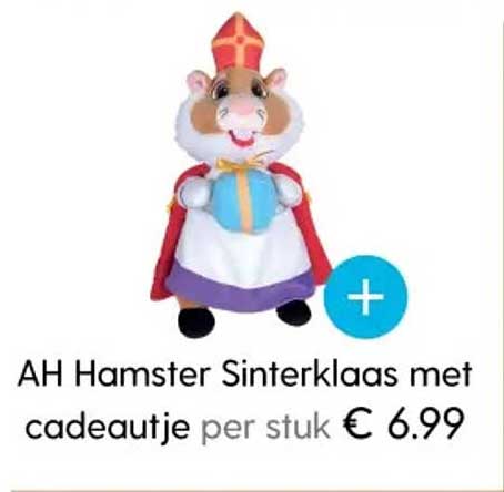 AH Hamster Sinterklaas met cadeautje