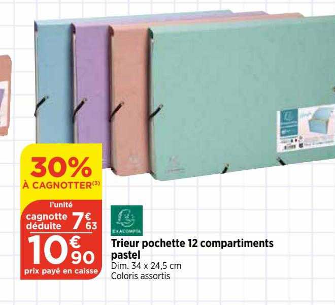 Organisateur Mural Transparent 12 Poches - Pour Chaussettes, Sous-vêtements, Téléphones, Accessoires - Accroche Sur Porte Ou Placard