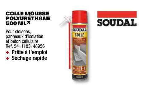 Mousse Polyurethane Bricodepot