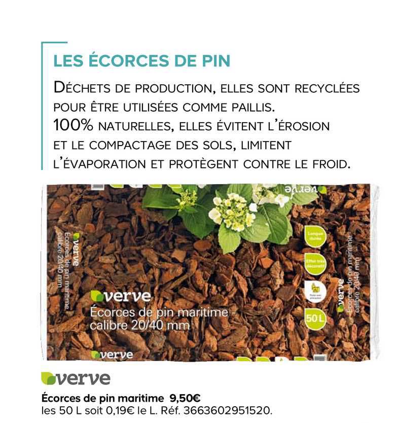 Substrat Pour Orchidées Phalaenopsis – Écorce De Pin Maritime 100% Naturelle, Prête à L’emploi, 2 Litres