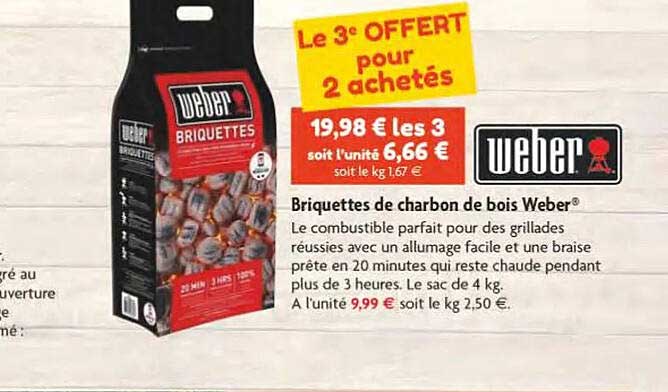 Charbon De Bois Fruitier Pour Barbecue - Briquettes à Combustion Rapide - Faible Production De Cendres - Saveur Naturelle