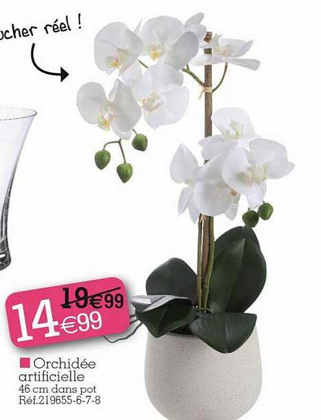 Offre Orchidée Artificielle chez KANDY