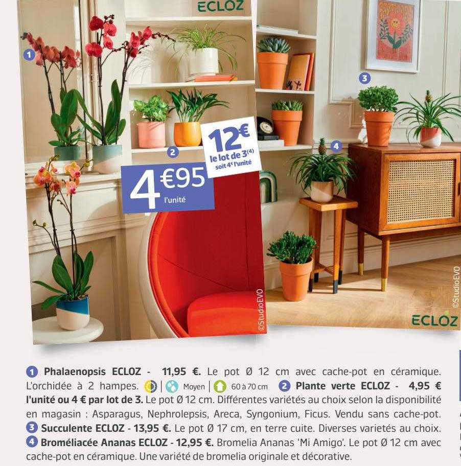 Sitemapcdatahttpsmodeinf Inetcomporte Plante Jardiland