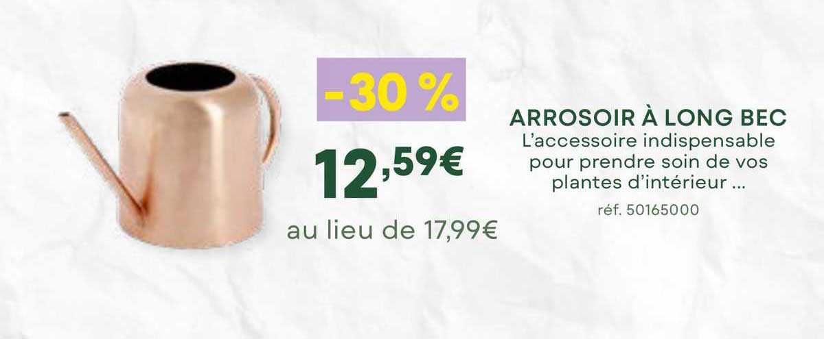 Arrosoir Métal 1L à Long Bec - Pour Plantes Intérieur/Extérieur - Design Élégant