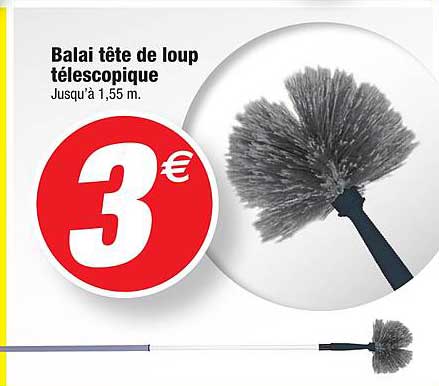 Brosse Tête De Loup En Poils De Chèvre - Pour Perche Télescopique - Nettoyage Haute Portée