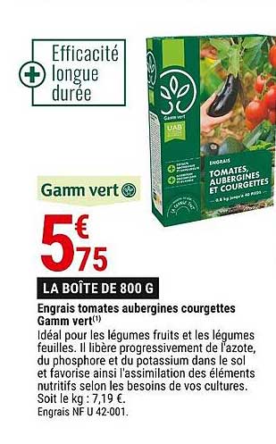 Courgette - Gamm vert