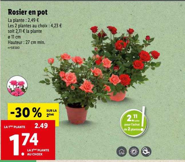 Sitemapcdatahttpsmodeinf Inetcomarche Rosier Lidl