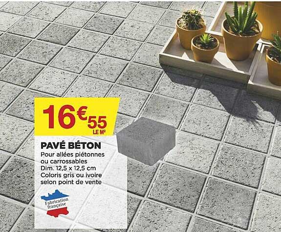 Pave Exterieur Bricomarche