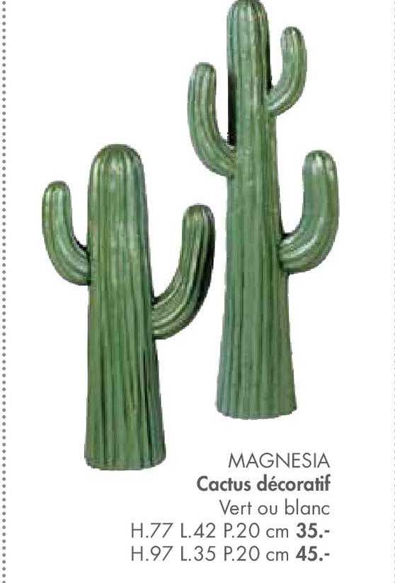 Casa Cactus Décoratif Magnesia