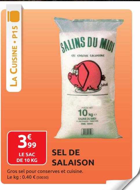 Promo Gros sel special salaison petit cochon chez Gamm vert
