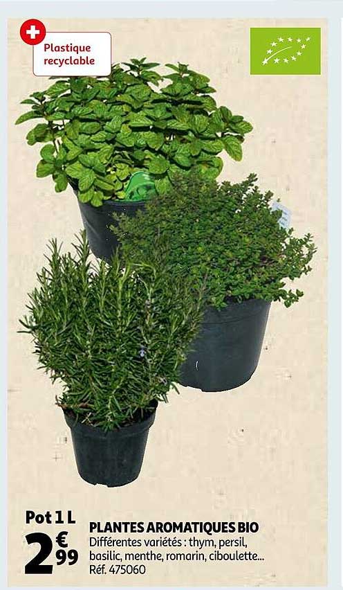 Coupon Tissu Plantes Aromatiques - 37 X 53 Cm - Coton Multicolore - Neuf