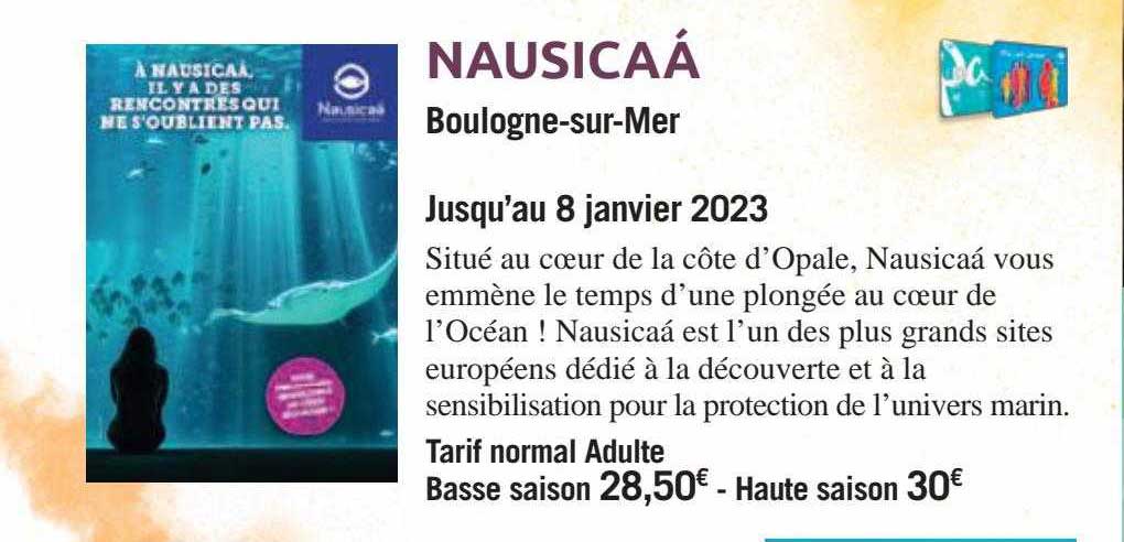 Carrefour Spectacles Nausicaá Boulogne-sur-mer