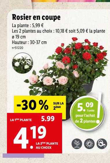 Sitemapcdatahttpsmodeinf Inetcomarche Rosier Lidl