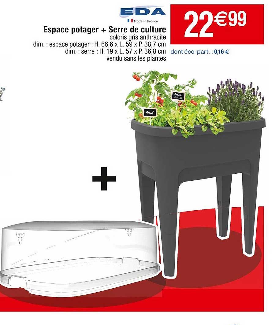 Mini Serre De Culture EDA 15,7L - Taille L 56x38x24cm Anthracite | Idéale Semis & Jeunes Plants