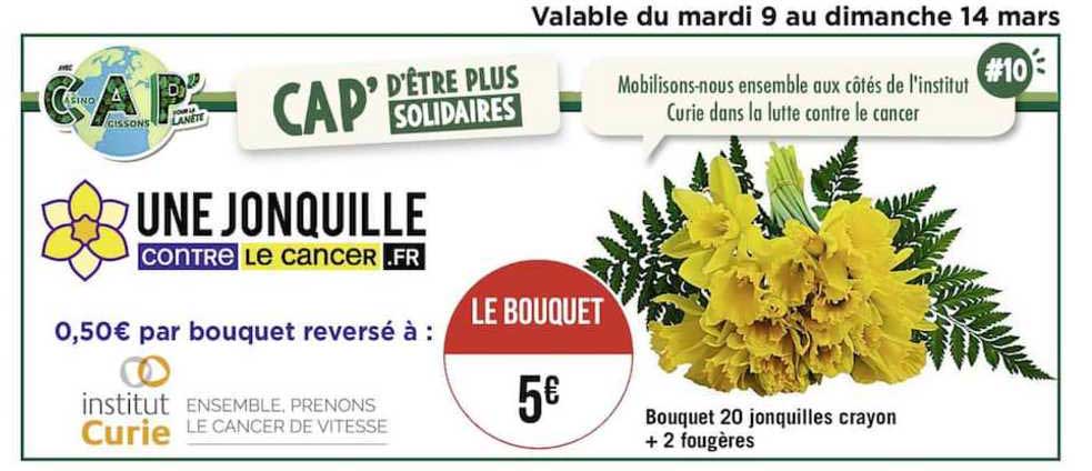 Offre Bouquet 20 Jonquilles Crayon + 2 Fougères chez Geant Casino