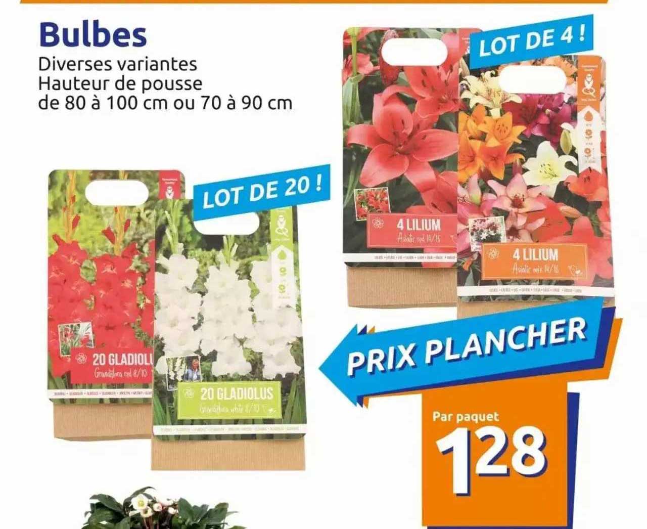 Action Bulbes de fleurs printemps Paquet - Baltus