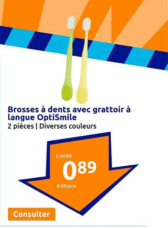Râteau à Tellines/Palourdes En Inox 9 Dents - Manche 180 Cm, Avec Grattoir à Sable 20 Cm