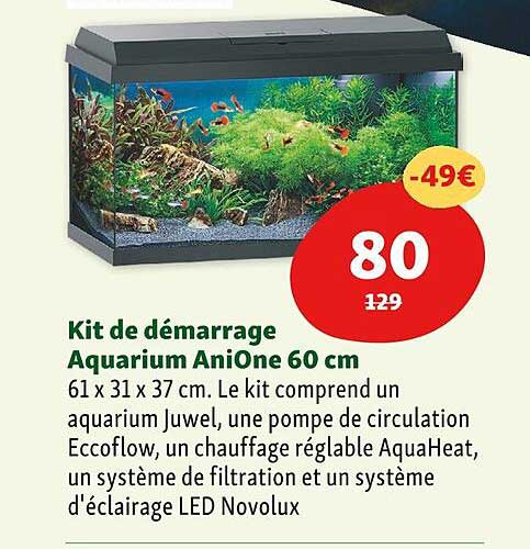 Aquarium 15 Litres Avec LED – Kit Complet Pour Poissons Betta Et Décoration Bureau