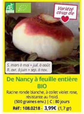 Graines De Navet De Nancy à Feuille Entière - Sachet De 5 G, Semis De Mars à Septembre, Récolte De Mai à Novembre