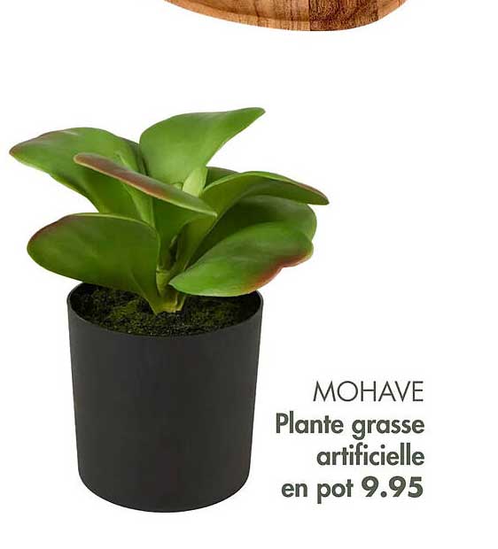 Offre Plante Grasse Artificielle En Pot Mohave chez Casa